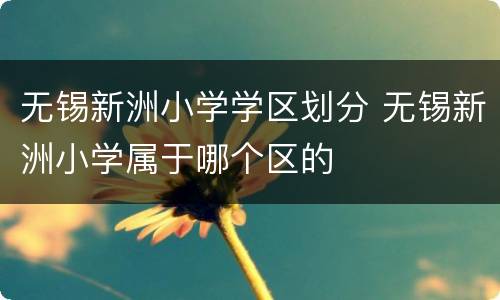 无锡新洲小学学区划分 无锡新洲小学属于哪个区的