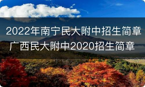 2022年南宁民大附中招生简章 广西民大附中2020招生简章