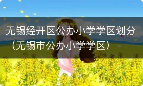 无锡经开区公办小学学区划分（无锡市公办小学学区）