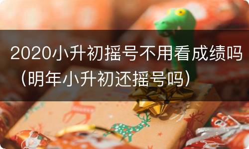 2020小升初摇号不用看成绩吗（明年小升初还摇号吗）