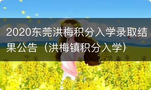 2020东莞洪梅积分入学录取结果公告（洪梅镇积分入学）