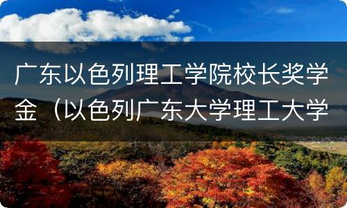 广东以色列理工学院校长奖学金（以色列广东大学理工大学）