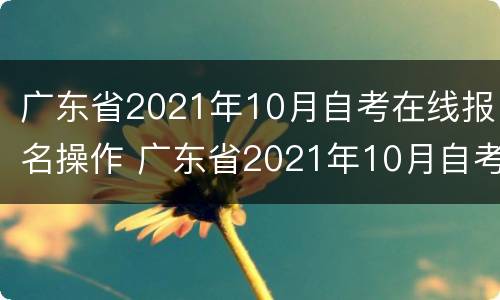 广东省2021年10月自考在线报名操作 广东省2021年10月自考在线报名操作考试