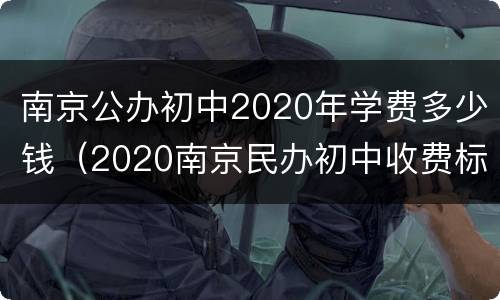 南京公办初中2020年学费多少钱（2020南京民办初中收费标准）