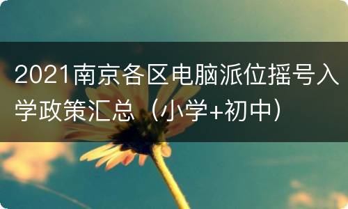 2021南京各区电脑派位摇号入学政策汇总（小学+初中）
