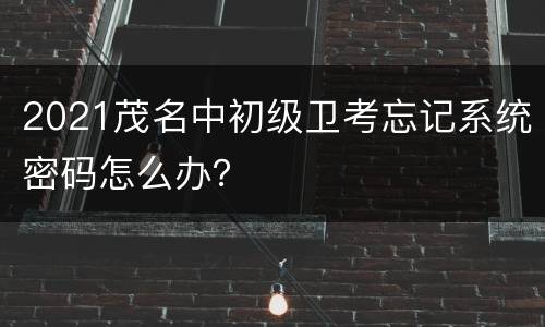 2021茂名中初级卫考忘记系统密码怎么办？