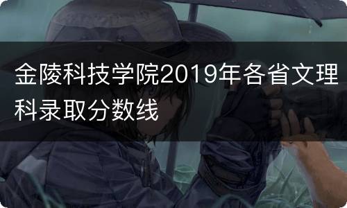 金陵科技学院2019年各省文理科录取分数线