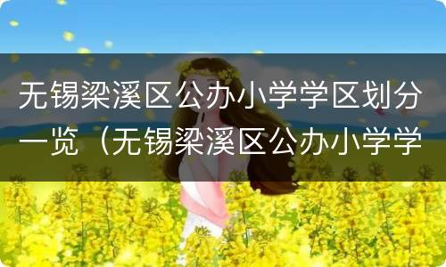 无锡梁溪区公办小学学区划分一览（无锡梁溪区公办小学学区划分一览表）