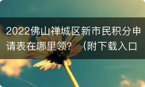 2022佛山禅城区新市民积分申请表在哪里领？（附下载入口）