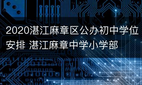2020湛江麻章区公办初中学位安排 湛江麻章中学小学部