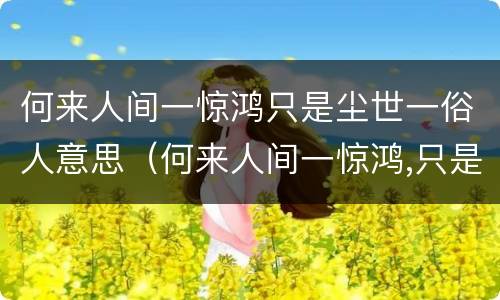 何来人间一惊鸿只是尘世一俗人意思（何来人间一惊鸿,只是世间一俗）