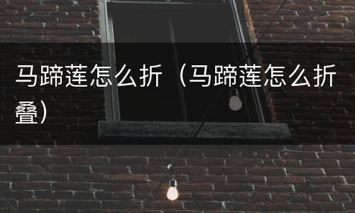 马蹄莲怎么折（马蹄莲怎么折叠）