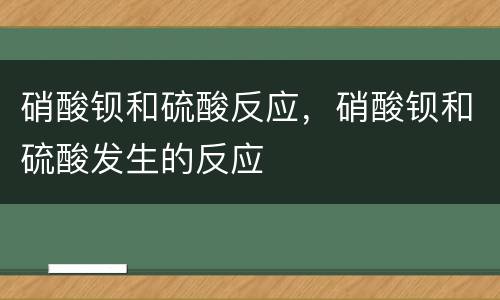 硝酸钡和硫酸反应，硝酸钡和硫酸发生的反应