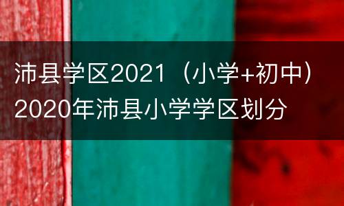 沛县学区2021（小学+初中） 2020年沛县小学学区划分