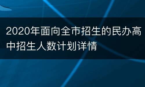 2020年面向全市招生的民办高中招生人数计划详情