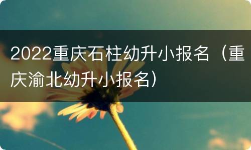 2022重庆石柱幼升小报名（重庆渝北幼升小报名）