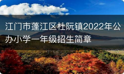 江门市蓬江区杜阮镇2022年公办小学一年级招生简章