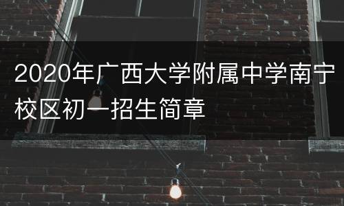 2020年广西大学附属中学南宁校区初一招生简章