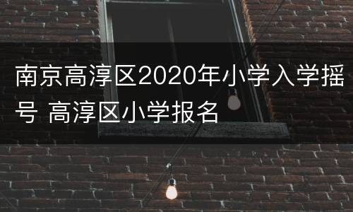 南京高淳区2020年小学入学摇号 高淳区小学报名