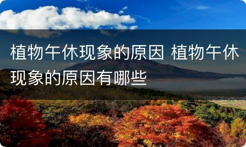 植物午休现象的原因 植物午休现象的原因有哪些