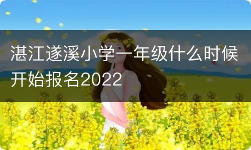 湛江遂溪小学一年级什么时候开始报名2022