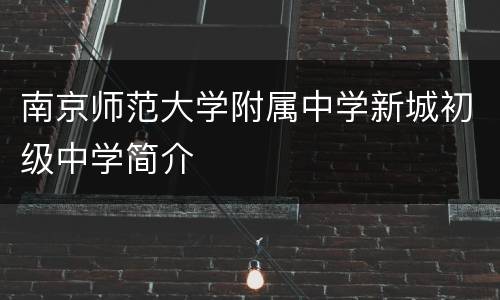 南京师范大学附属中学新城初级中学简介