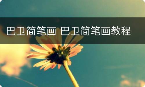 巴卫简笔画 巴卫简笔画教程