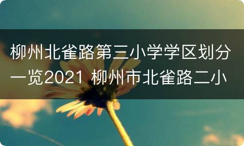柳州北雀路第三小学学区划分一览2021 柳州市北雀路二小