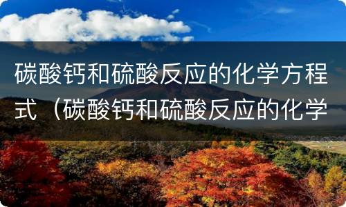 碳酸钙和硫酸反应的化学方程式（碳酸钙和硫酸反应的化学方程式包头中考题）