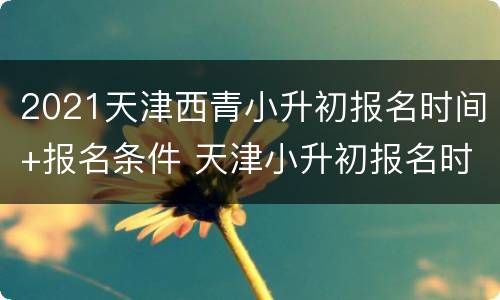 2021天津西青小升初报名时间+报名条件 天津小升初报名时间2021具体时间