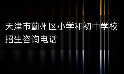 天津市蓟州区小学和初中学校招生咨询电话