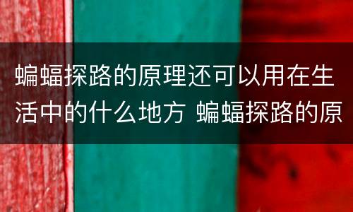 蝙蝠探路的原理还可以用在生活中的什么地方 蝙蝠探路的原理可以用在生活中的什么地方