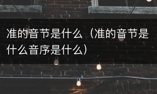 准的音节是什么（准的音节是什么音序是什么）