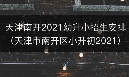 天津南开2021幼升小招生安排（天津市南开区小升初2021）