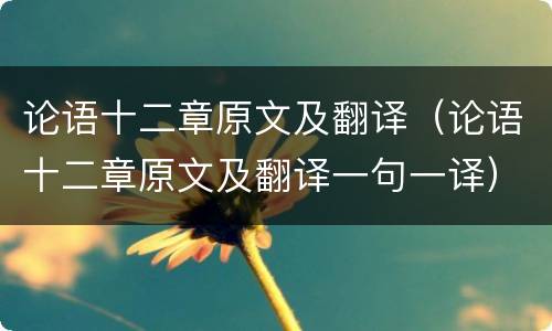 论语十二章原文及翻译（论语十二章原文及翻译一句一译）
