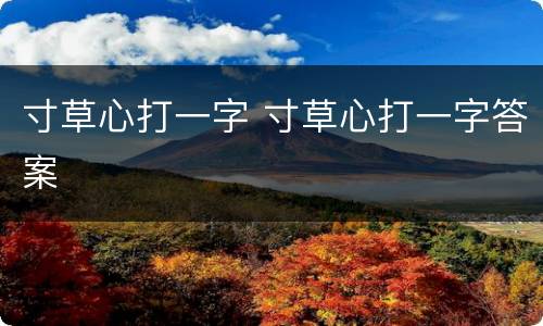 寸草心打一字 寸草心打一字答案