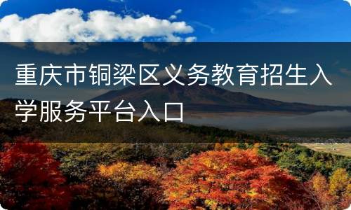 重庆市铜梁区义务教育招生入学服务平台入口
