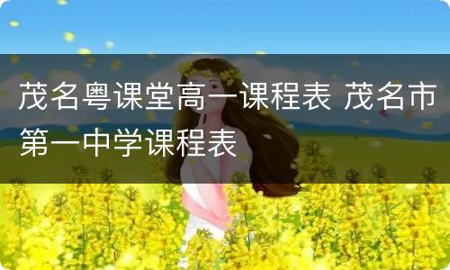茂名粤课堂高一课程表 茂名市第一中学课程表