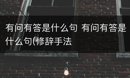 有问有答是什么句 有问有答是什么句(修辞手法