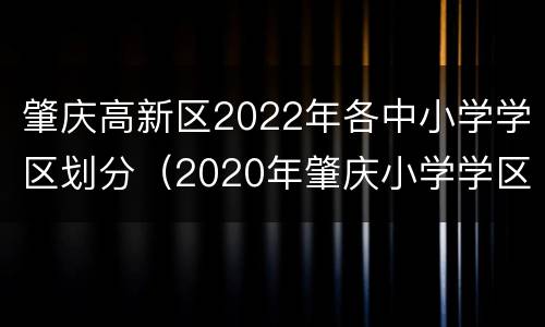 肇庆高新区2022年各中小学学区划分（2020年肇庆小学学区划分）