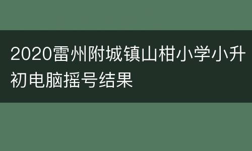2020雷州附城镇山柑小学小升初电脑摇号结果