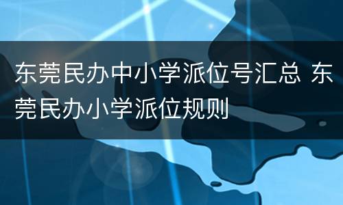 东莞民办中小学派位号汇总 东莞民办小学派位规则