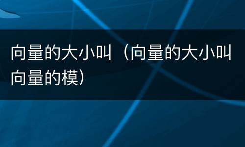向量的大小叫（向量的大小叫向量的模）
