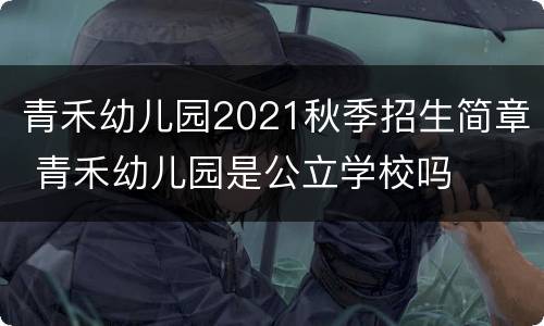 青禾幼儿园2021秋季招生简章 青禾幼儿园是公立学校吗