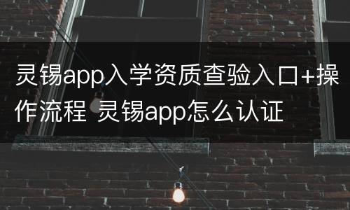 灵锡app入学资质查验入口+操作流程 灵锡app怎么认证