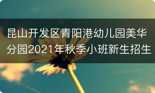 昆山开发区青阳港幼儿园美华分园2021年秋季小班新生招生通告