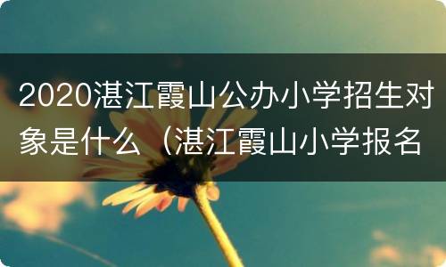 2020湛江霞山公办小学招生对象是什么（湛江霞山小学报名网址）