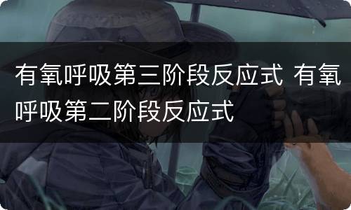 有氧呼吸第三阶段反应式 有氧呼吸第二阶段反应式