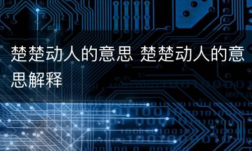 楚楚动人的意思 楚楚动人的意思解释