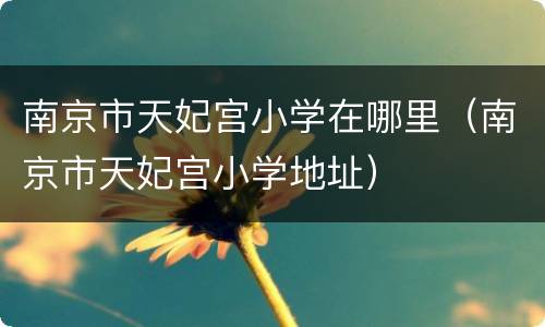 南京市天妃宫小学在哪里（南京市天妃宫小学地址）